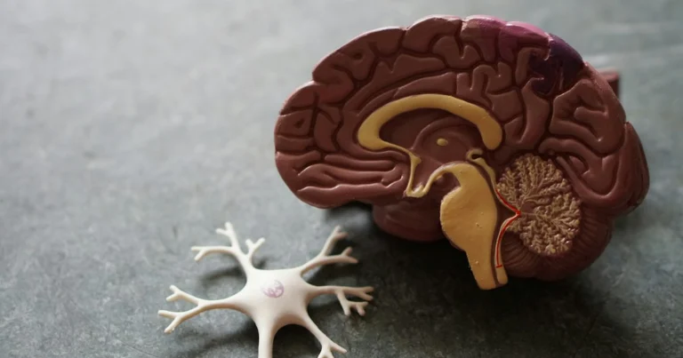 EMDR Terapisi Nedir? Nasıl Uygulanır ve Kimlere Fayda Sağlar?