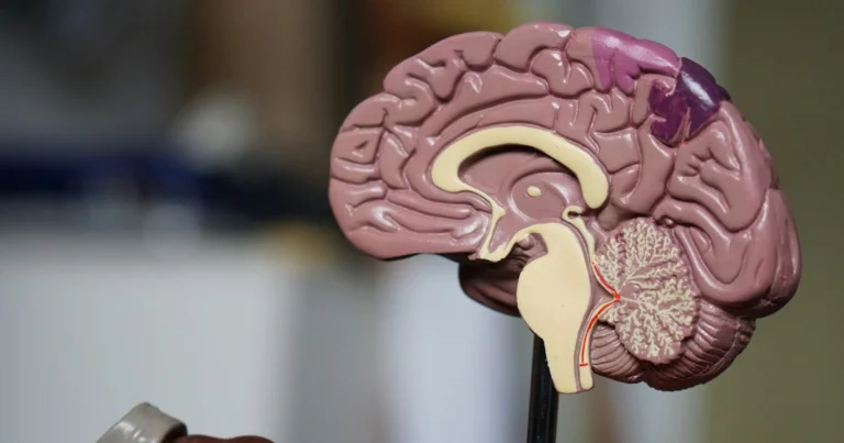 Klinik Psikolog ile Psikiyatrist Arasındaki Fark Nedir? 2026 Türkiye Rehberi